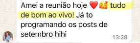 Print de conversa de WhatsApp com comentário sobre amar a reunião ao vivo.